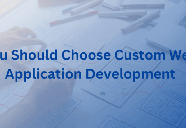You Should Choose Custom Web Application Development