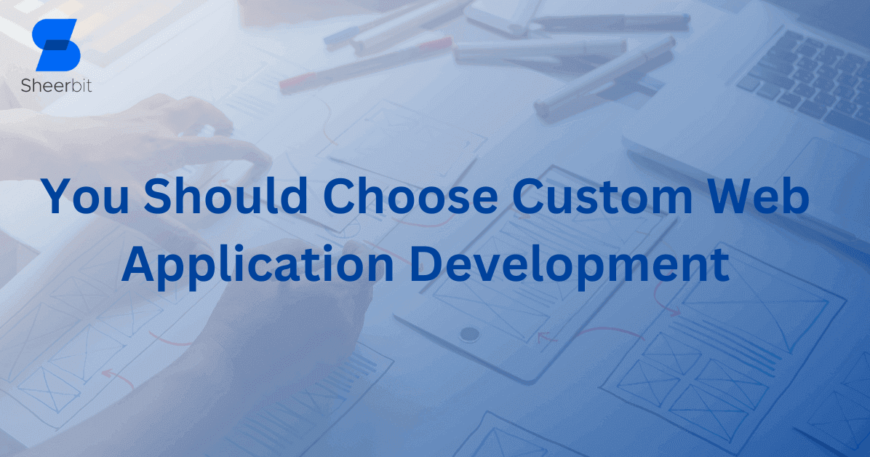 You Should Choose Custom Web Application Development