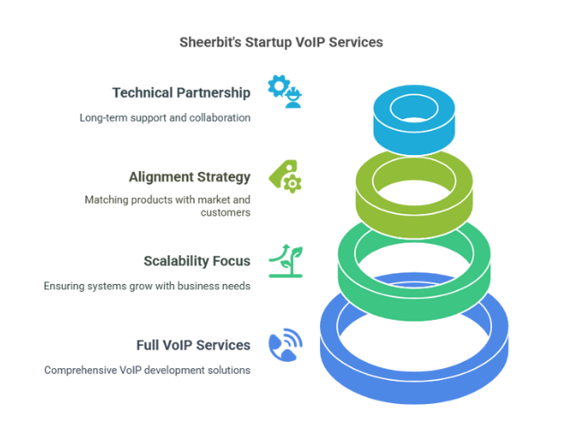 Startup-VoIP Specific Issues